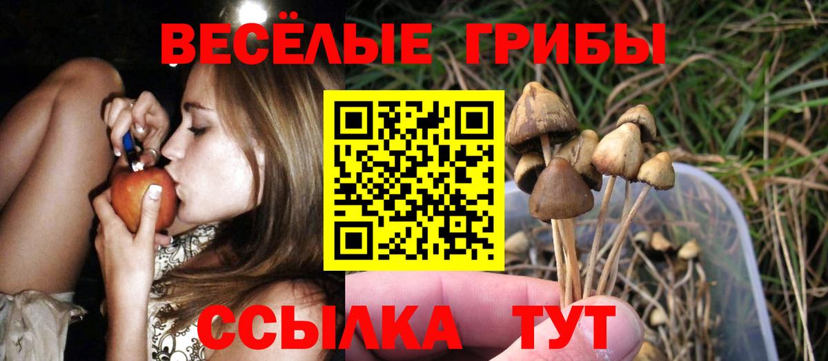 Галлюциногенные грибы MAGIC MUSHROOMS Рузаевка
