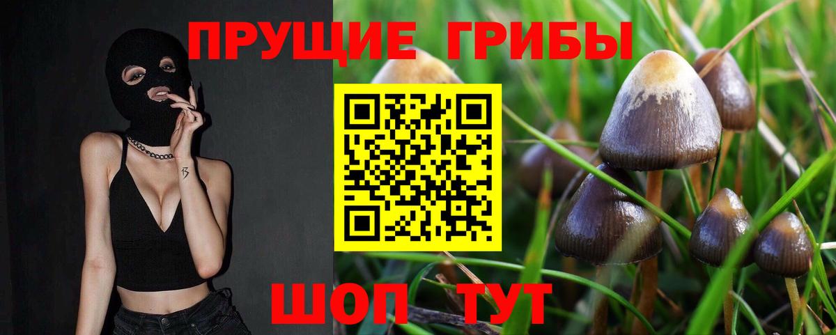 Рузаевка  Псилоцибиновые грибы мухоморы  Вход с VPN 